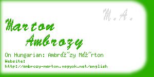 marton ambrozy business card